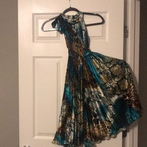 Never wore satin pleated dress